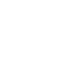 fsg icon